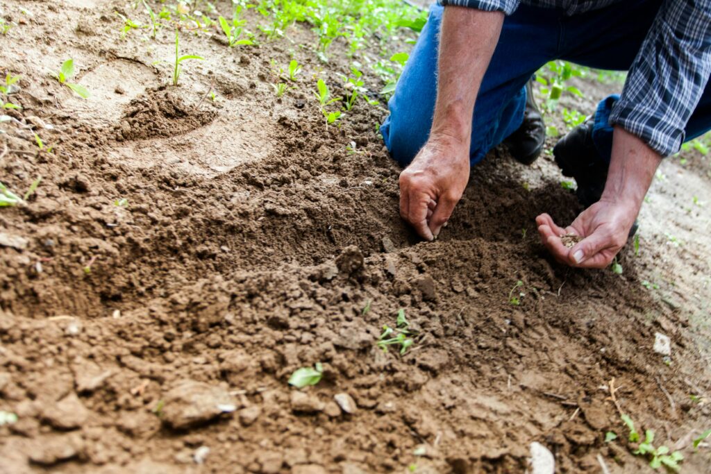 restore soil organic carbon, strengthen soil biology, and improve water-holding capacity