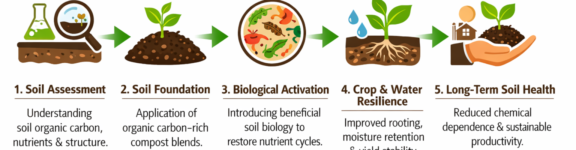 Cybrids Agro Biotech Private Limited is an integrated agri-biotech company focused on soil regeneration, climate resilience, and sustainable farming systems.